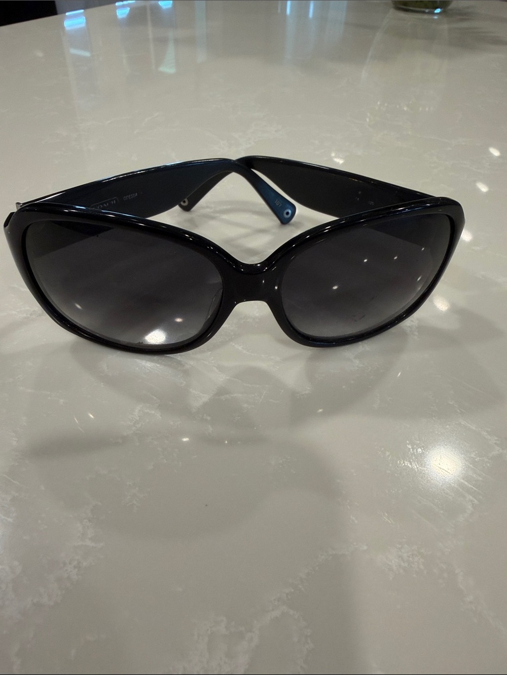 Coach Women's Black Oversized Sunglasses